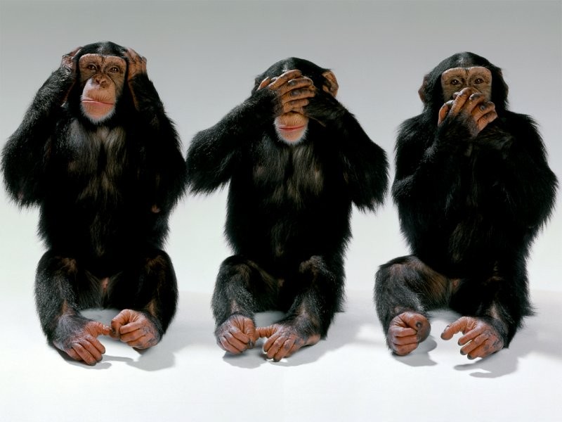 monkeys-hear-no-evil-see-no-evil-speak-no-evil.jpg