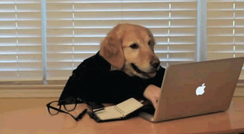 dog-typing.gif